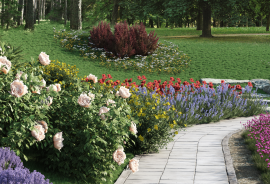 新功能 — The3dGarden