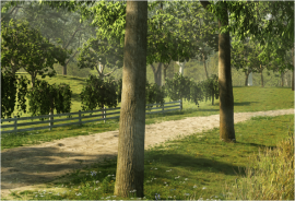 新功能 — The3dGarden
